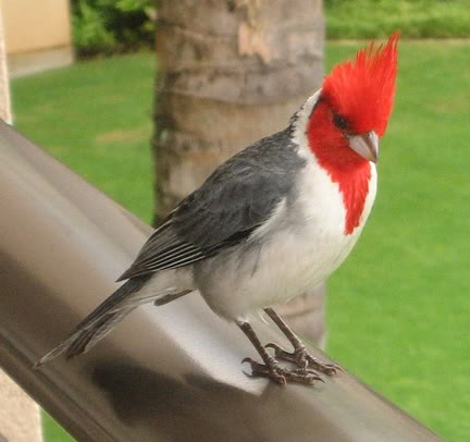 صورة مرفقة
