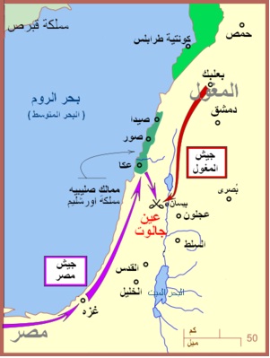 صورة مرفقة