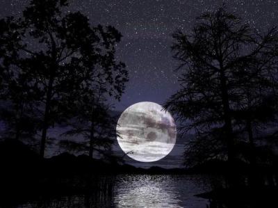 صورة مرفقة