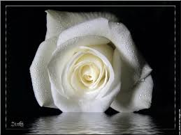 صورة مرفقة