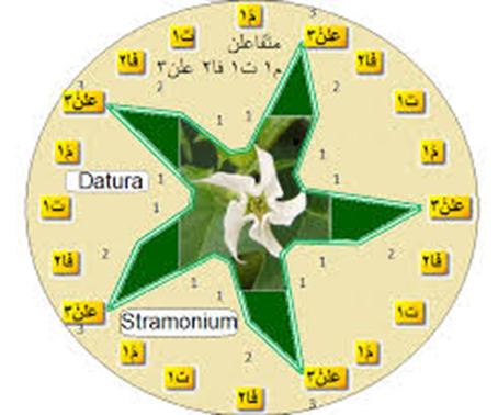 صورة مرفقة